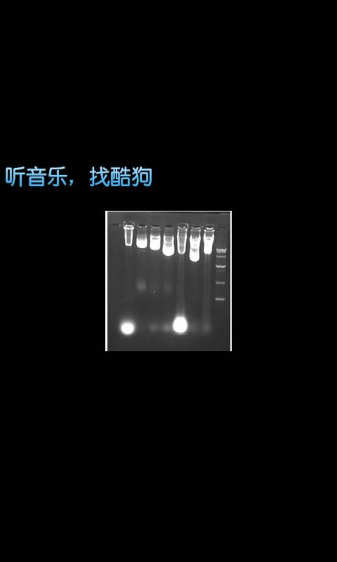 琼脂安卓版琼脂游戏下载