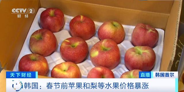 买韩版苹果apple韩国网站