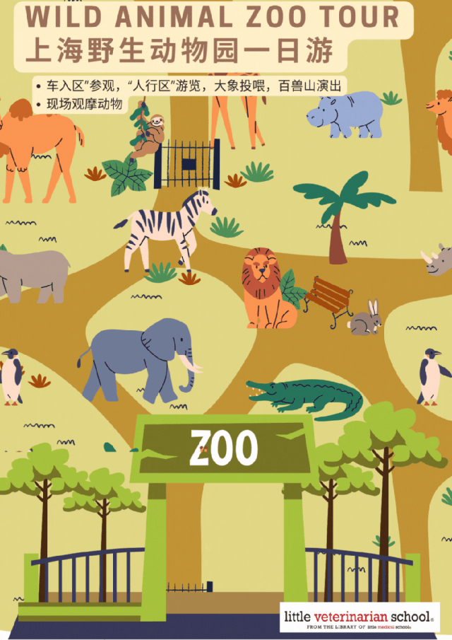 奇妙动物园安卓版奇妙动物园官方下载-第2张图片-太平洋在线下载